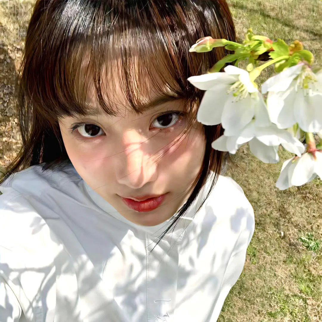 海外佳片